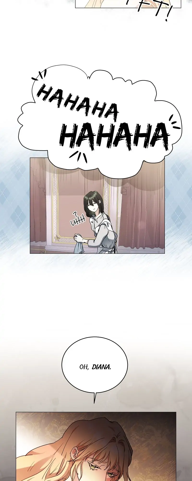 26253125 800 2000 65460