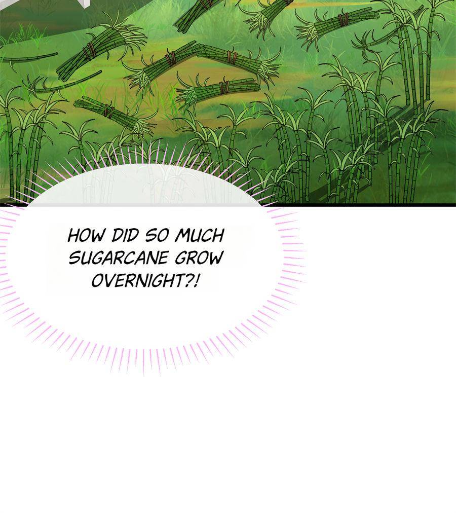 81436204 900 1012 110491